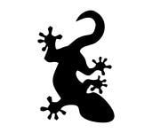 下向きのトカゲ